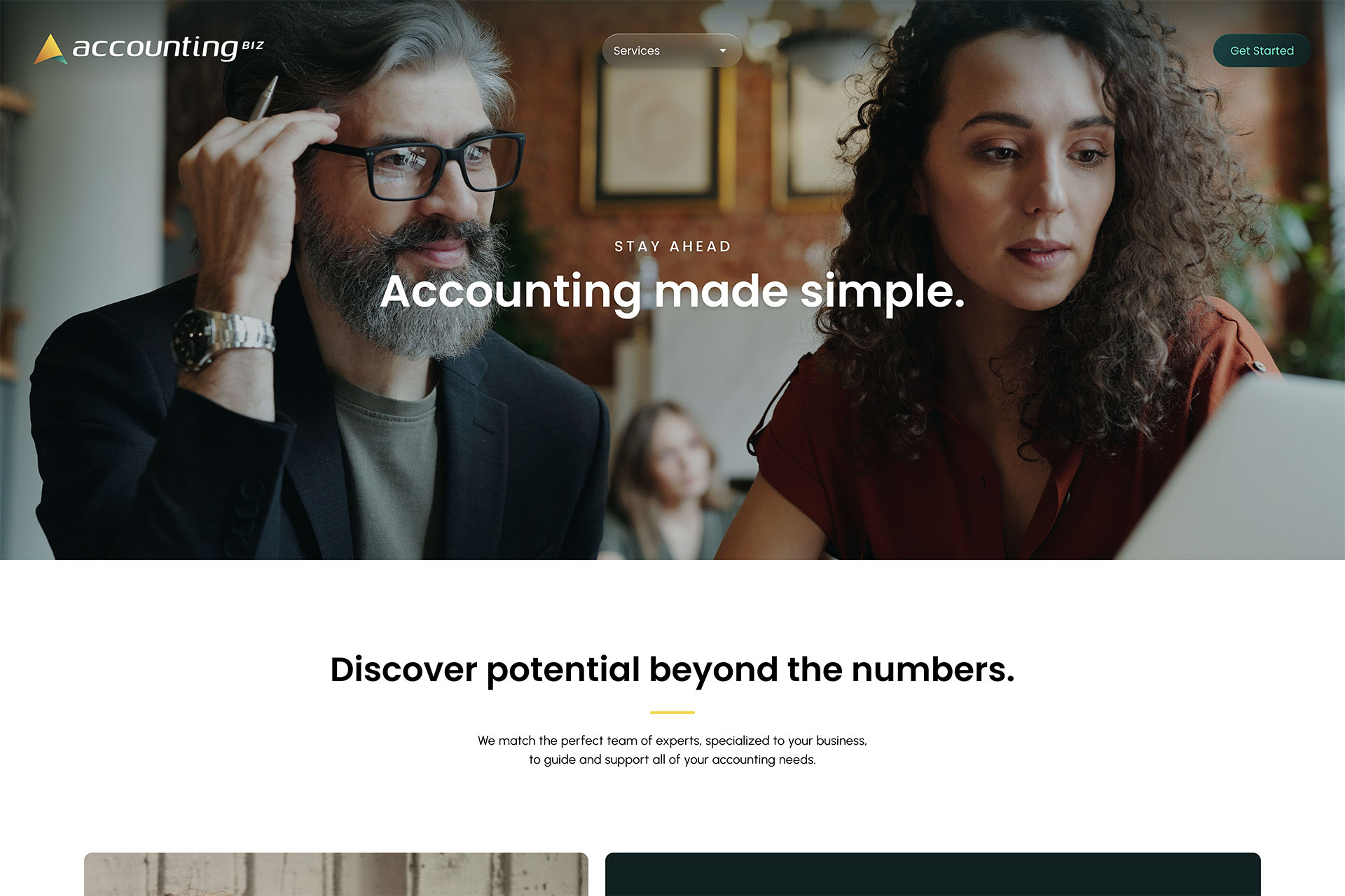 Accounting Biz - Home Page